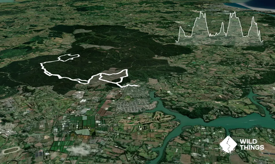 Riverhead Blast, Auckland