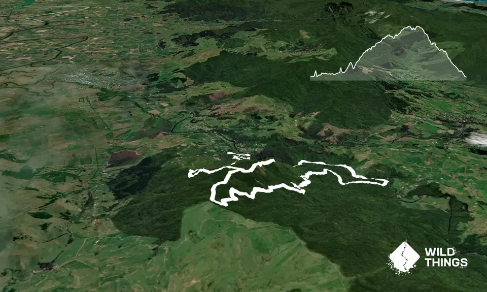 Karangahake Gold, Waikato