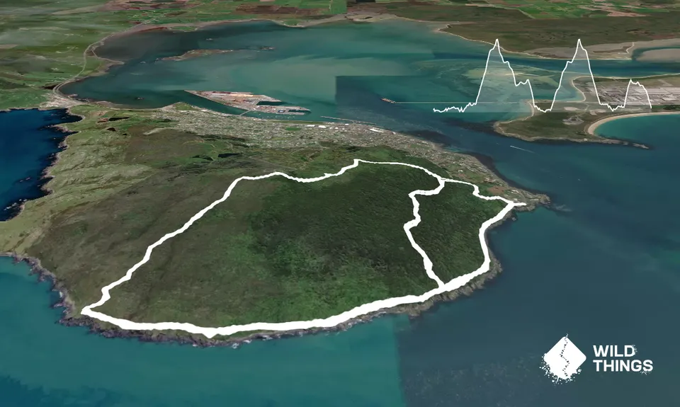 Bluff Hill Loops, Southland