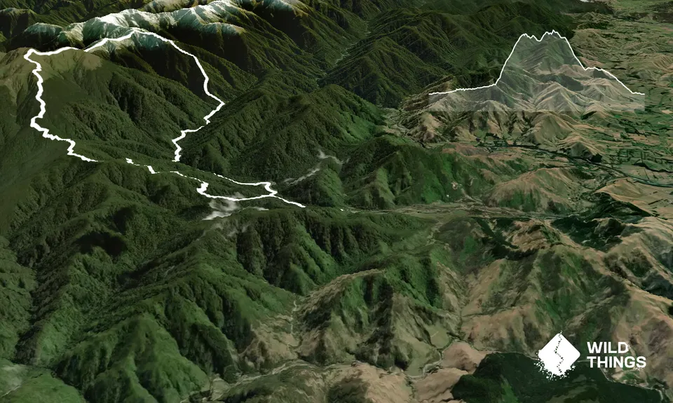 Jumbo - Holdsworth Circuit, Wellington