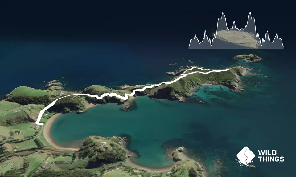 Mahinepua Peninsula Track, Northland