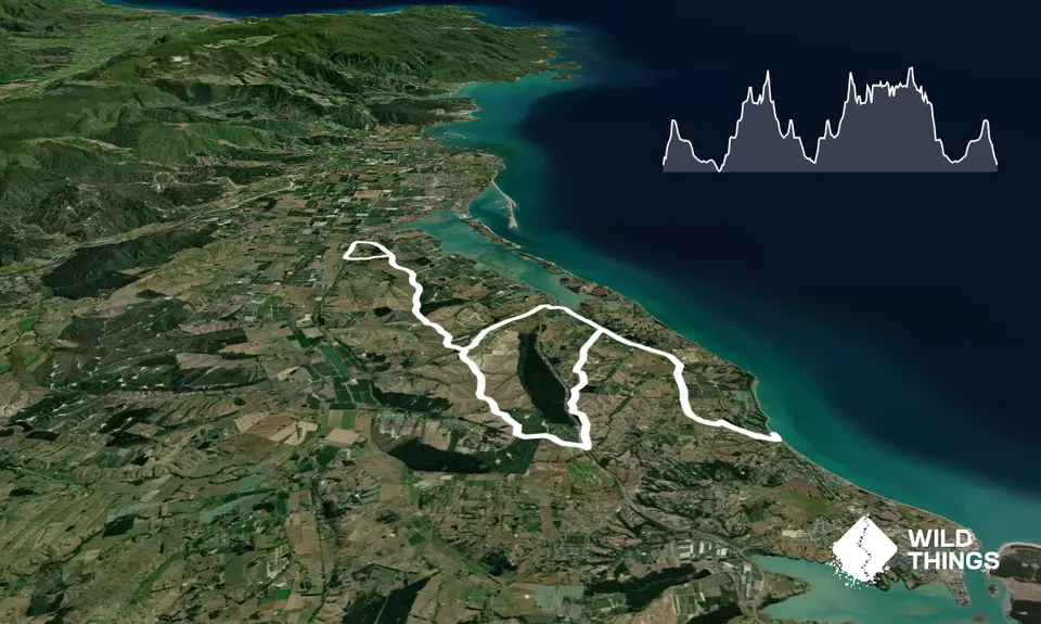 Tasman Trail, Tasman