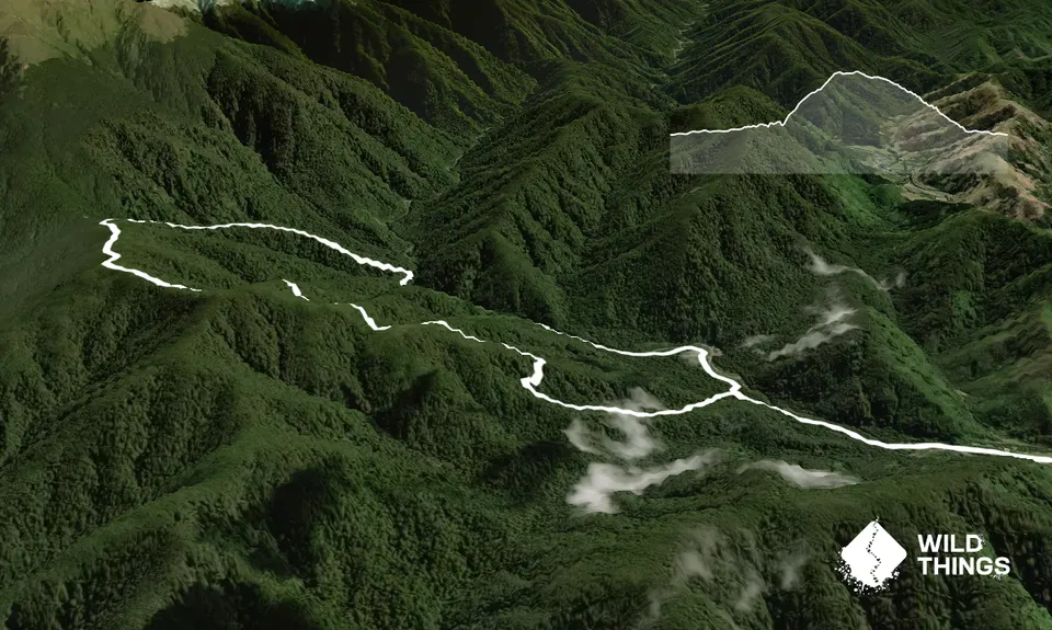 Hooper Loop - Mt Holdsworth, Wellington