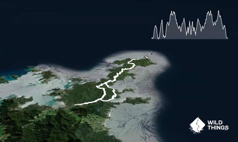 Cape Brett Canter, Northland