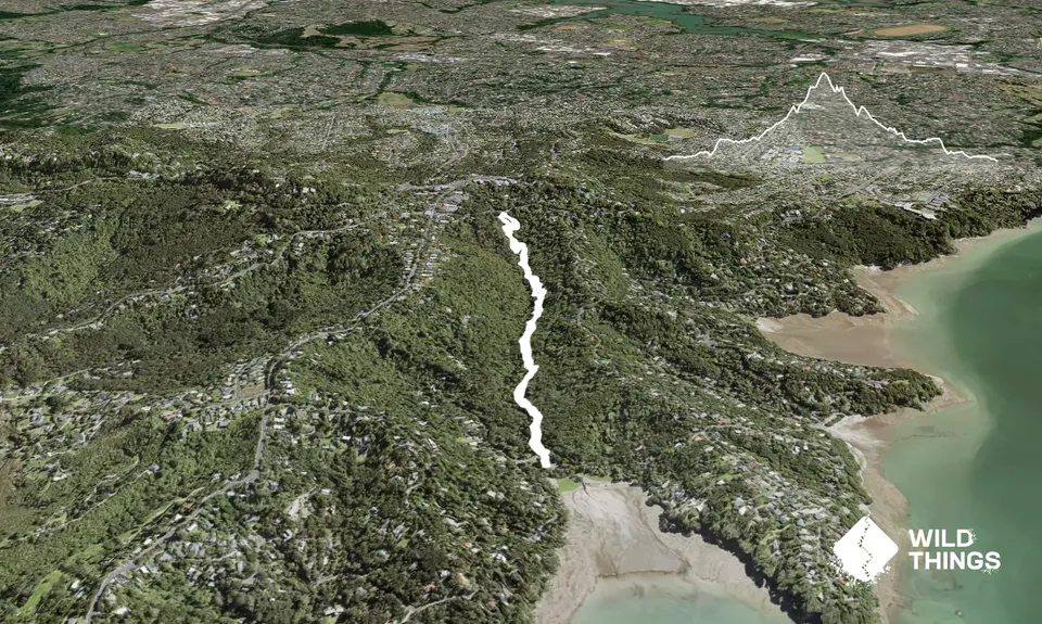 Titirangi Trainer , Auckland