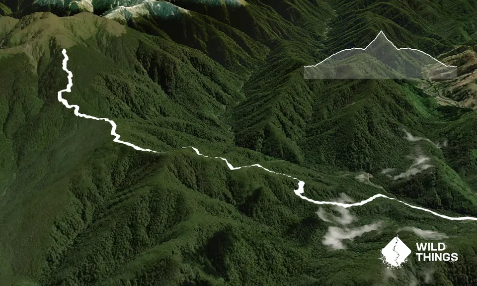 Powell Hut, Wellington