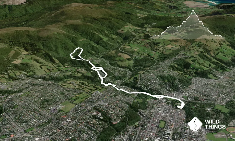 Ross Creek and McGouns , Otago