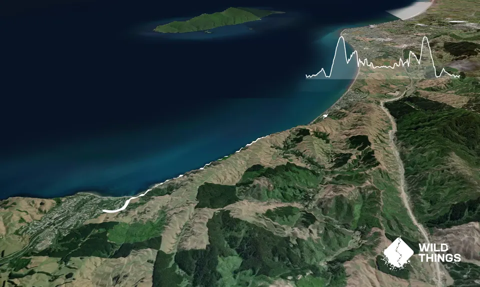 Escarpment Track, Wellington
