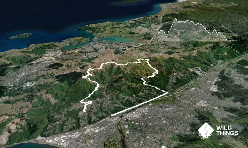 Belmont Regional Park - Oakleigh to Hill, Wellington