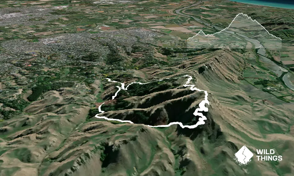 Te Mata Peak Giant Track, Hawkes Bay