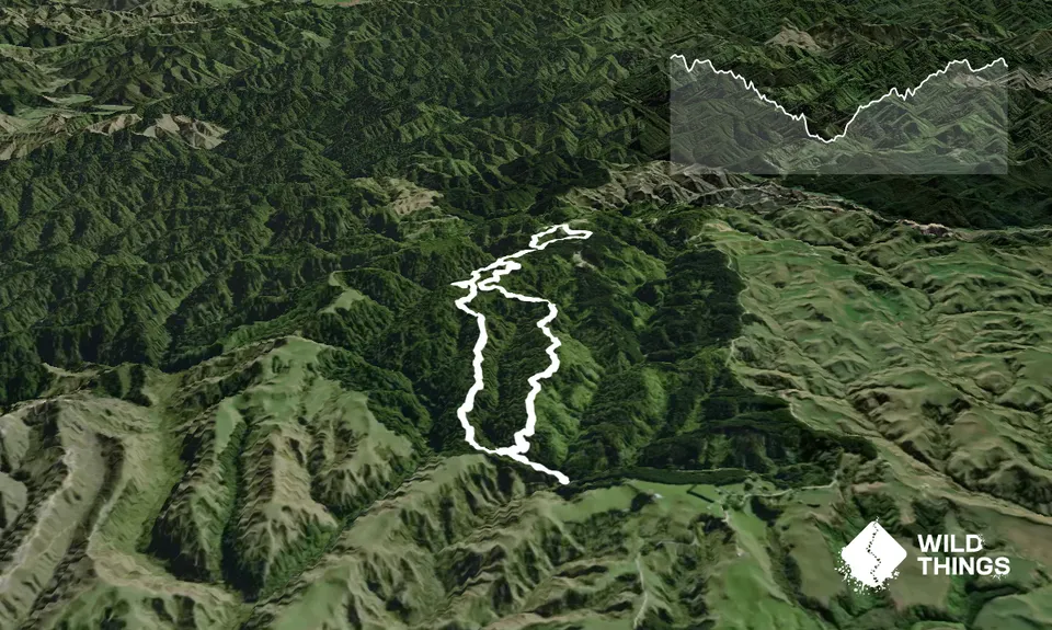 Waitahinga Dam Loop, Manawatu - Wanganui