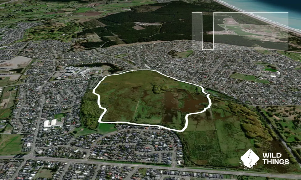 Travis Wetland Loop, Canterbury