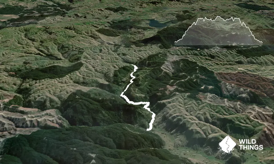 Tangoio Tumbler, Hawkes Bay