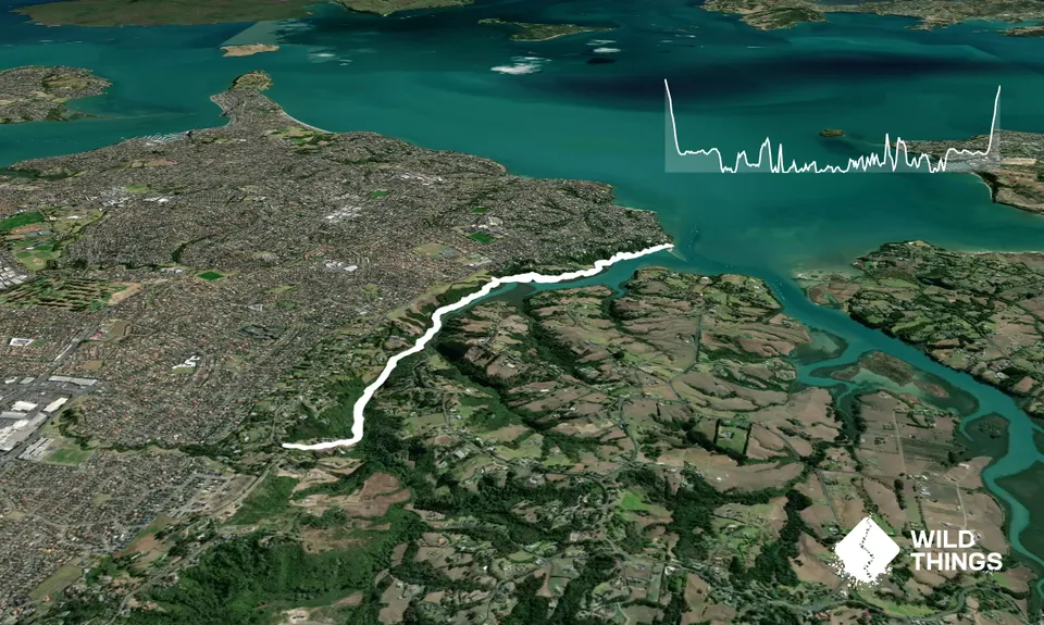 Mangemangeroa Track, Auckland