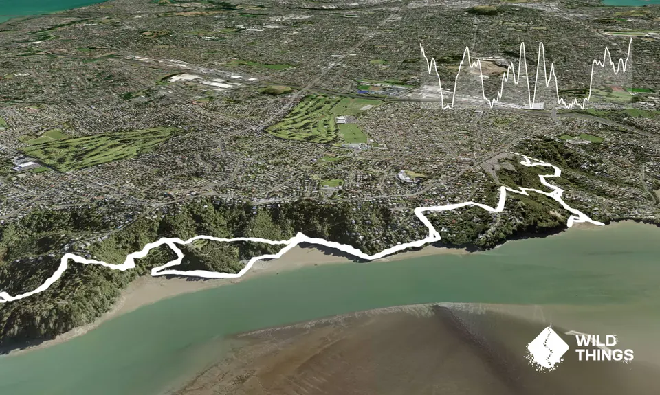 Inner City Bush Trails, Auckland