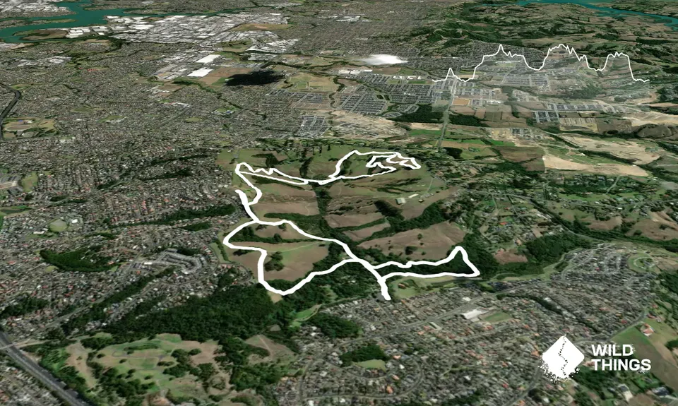 Totara Park Track, Auckland