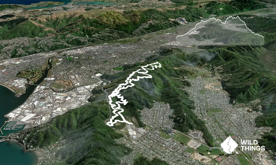 Wainui Trail Park, Wellington
