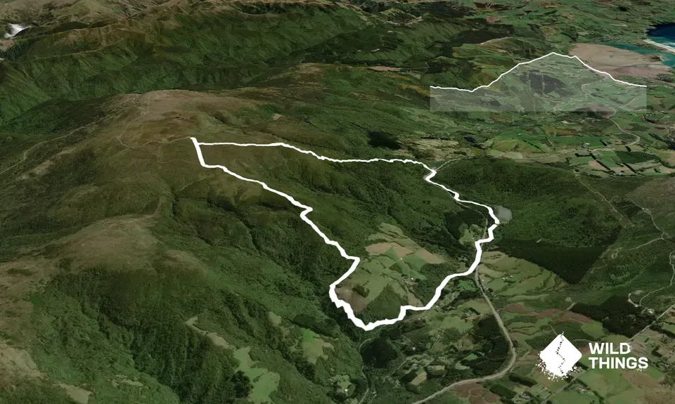 Slick and Quick Swampy, Otago