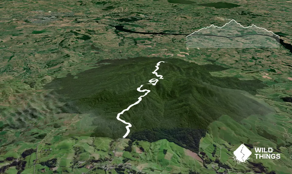 Maungatautari Sanctuary Mountain, Waikato