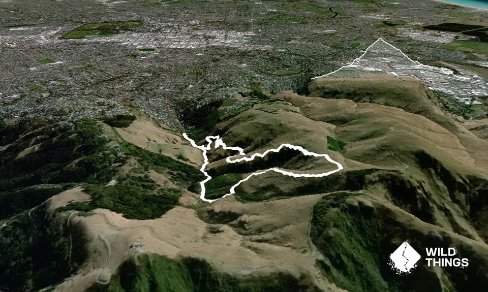 Lava Lite, Canterbury