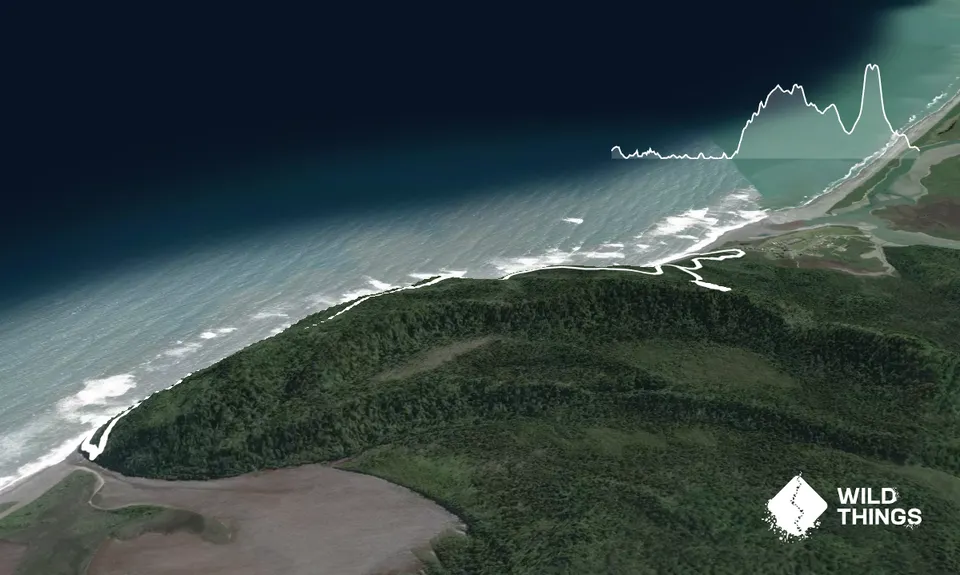 Okarito Majesty, West Coast
