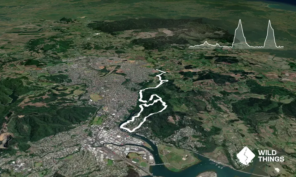 Town Basin, Whangarei Falls & Parihaka , Northland