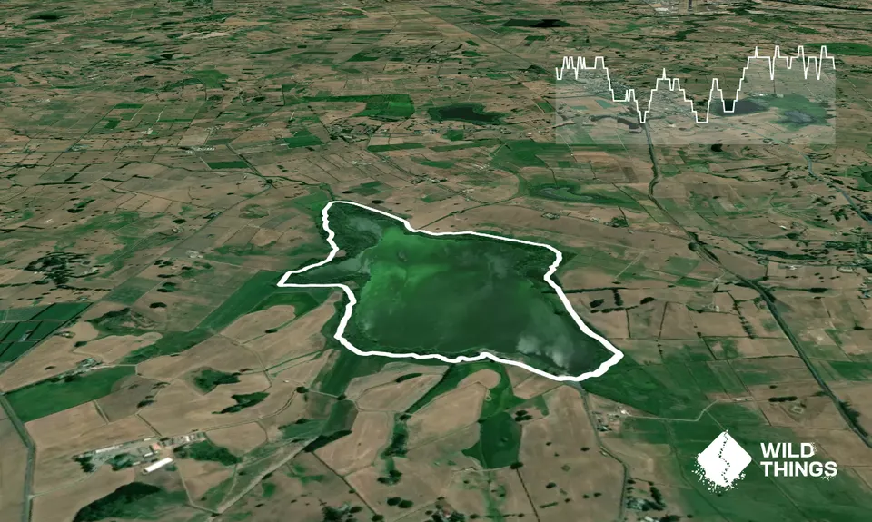 Lake Ngaroto, Waikato