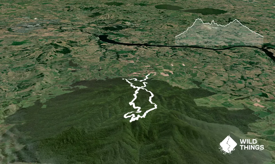 Maungatautari crazy 8, Waikato