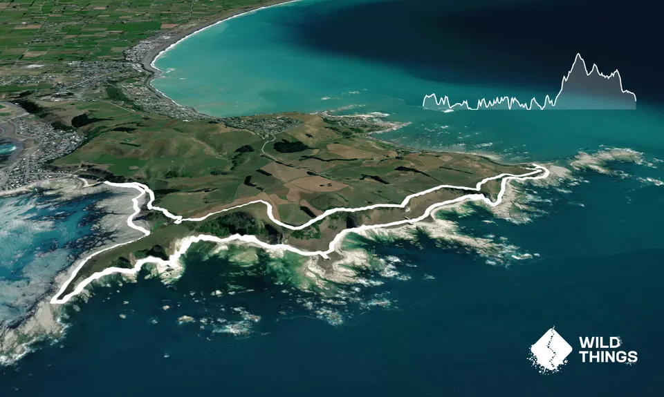 Kaikoura Cracker, Canterbury