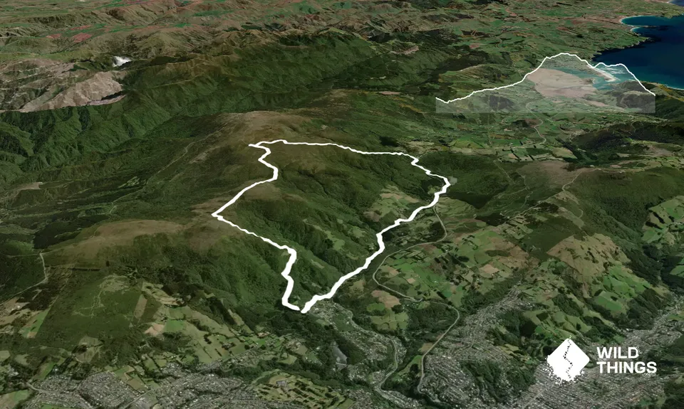 Leith Valley Swampy Circuit, Otago