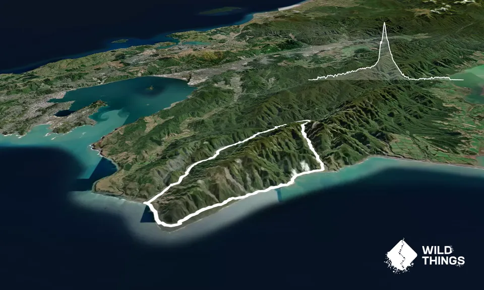 Mt Matthews - Mukamuka Loop, Wellington