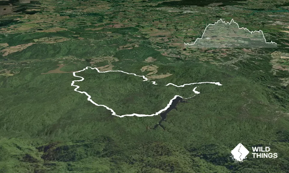 Cascade Kauri Outer Loop, Auckland