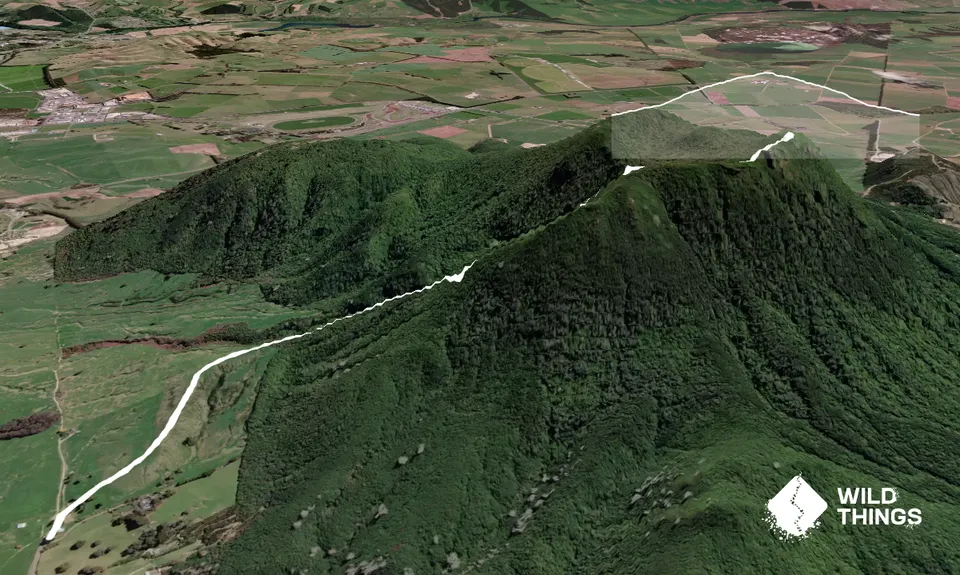 Tauhara Grunt, Waikato