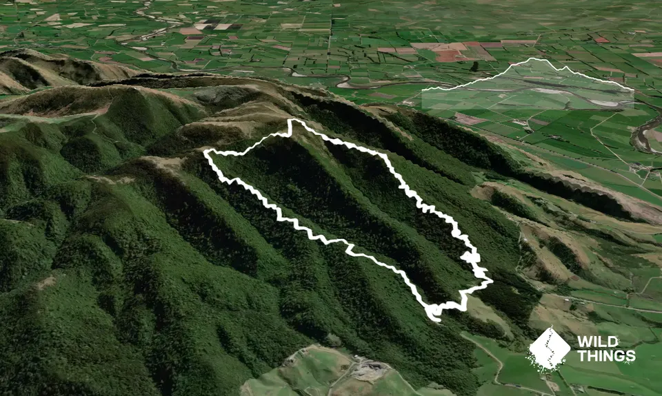 Croydon Bush - Richardson loop, Southland