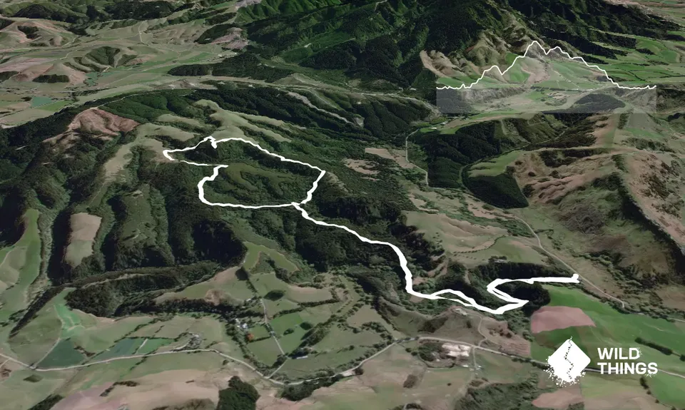 Kakahu Bush Reserve, Canterbury