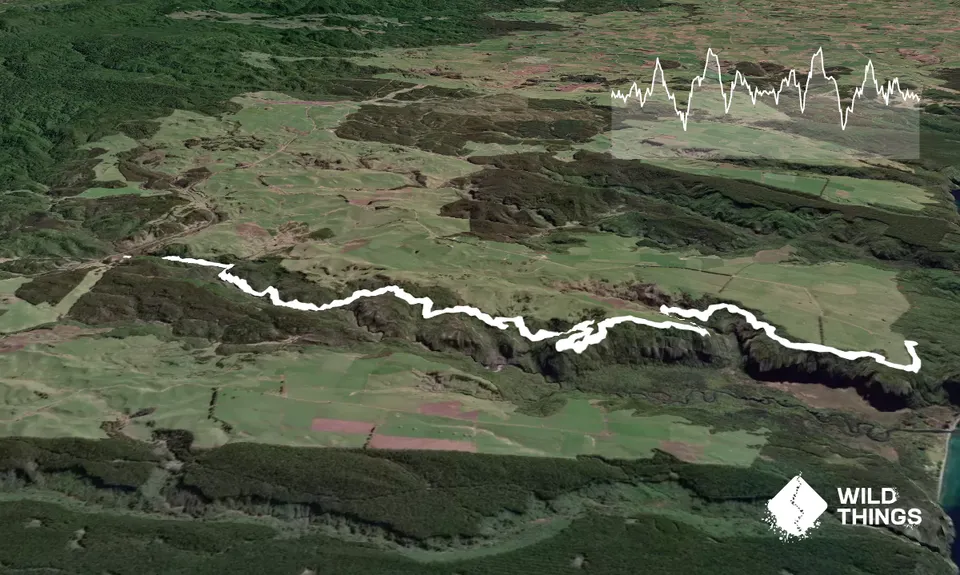 Waihaha Trail - Out & Back, Waikato