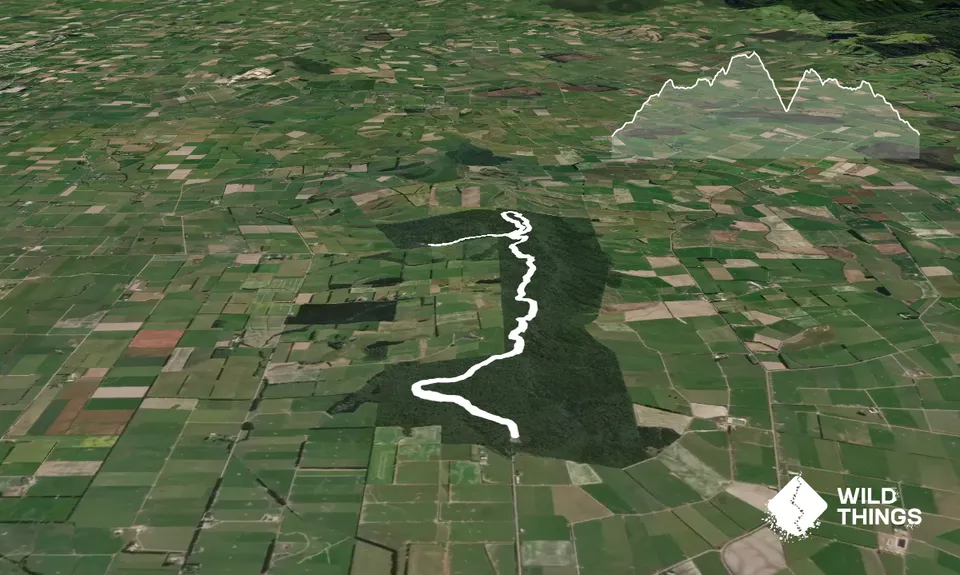 Forrest Hill Track, Southland