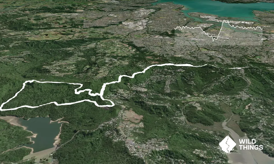 Slip Track from Titirangi, Auckland