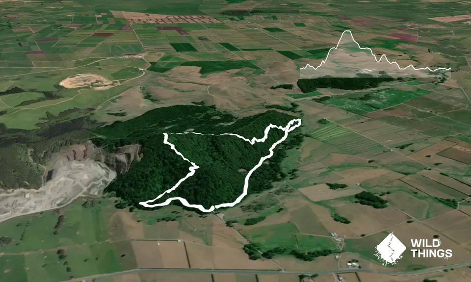 Pukemokemoke Loop, Waikato