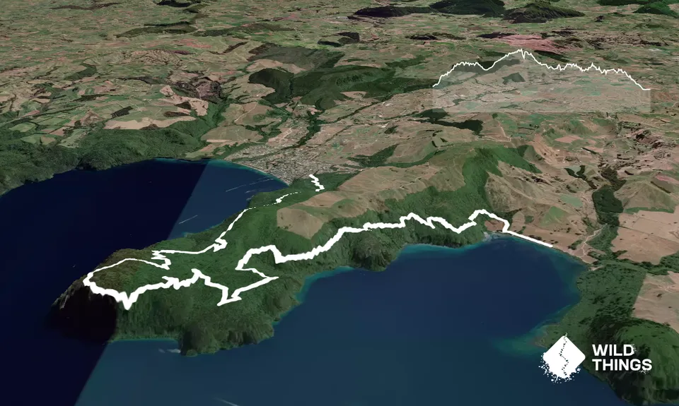 W2K, Waikato