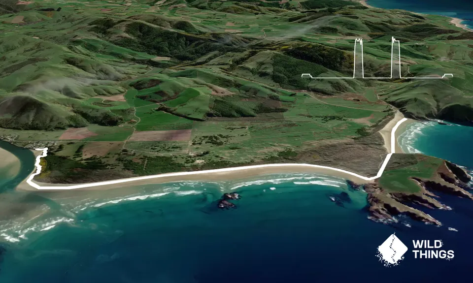Sandhills, Cannibals & Sea-Lions, Otago