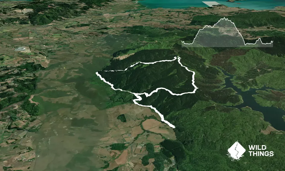 Orum Road/Te Araroa loop, Auckland