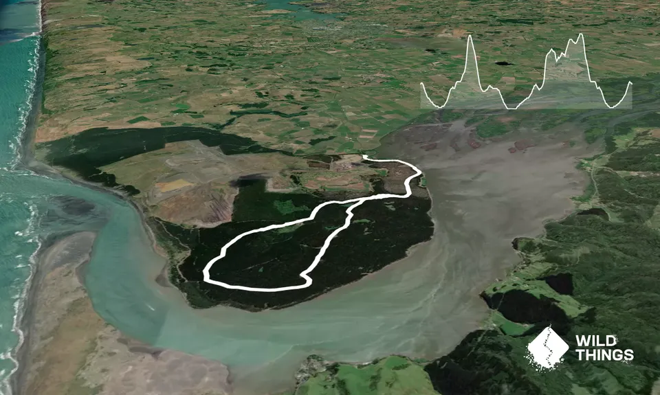 Waiuku Forest Intro, Auckland