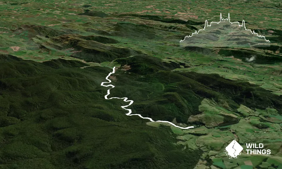 Catlins River Track, Otago