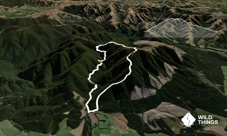 Mt Thomas Grunt, Canterbury