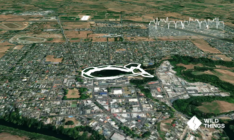 Te Koutu Has It All, Waikato