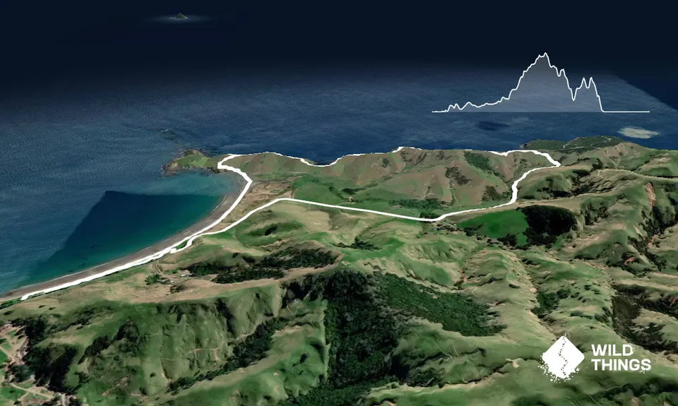 Port Jackson - Wharekaiatua Pa, Waikato