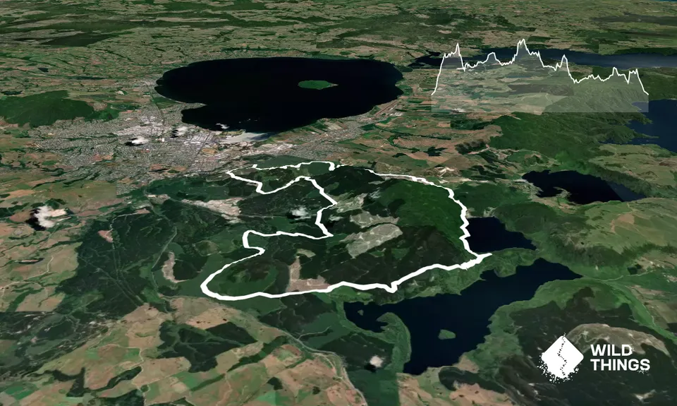 Whakarewarewa Circuit - the Black Track, Bay of Plenty