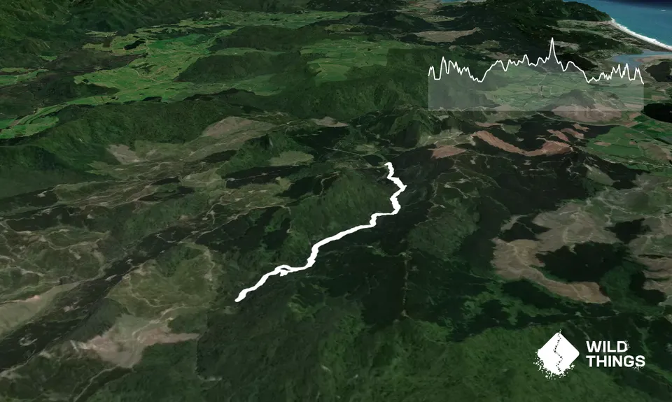 Pete's Luck At Last, Waikato