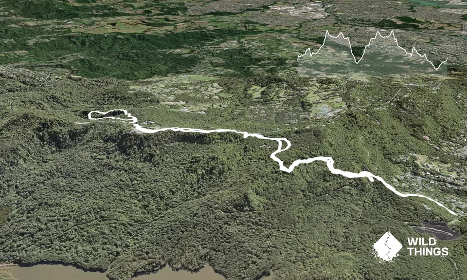 Last Trail Standing, Auckland